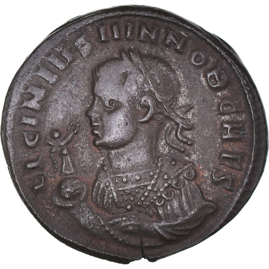 madeni para, 
  
  Licinius II, 
  
  Folis