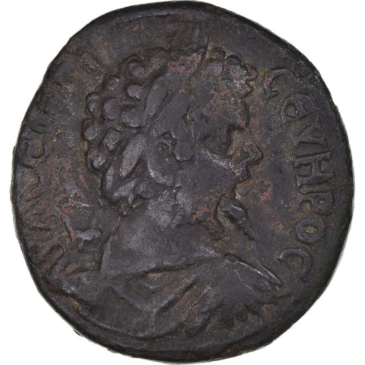 madeni para, 
  
  Moesia Aşağı, 
  
  Septimius Severus