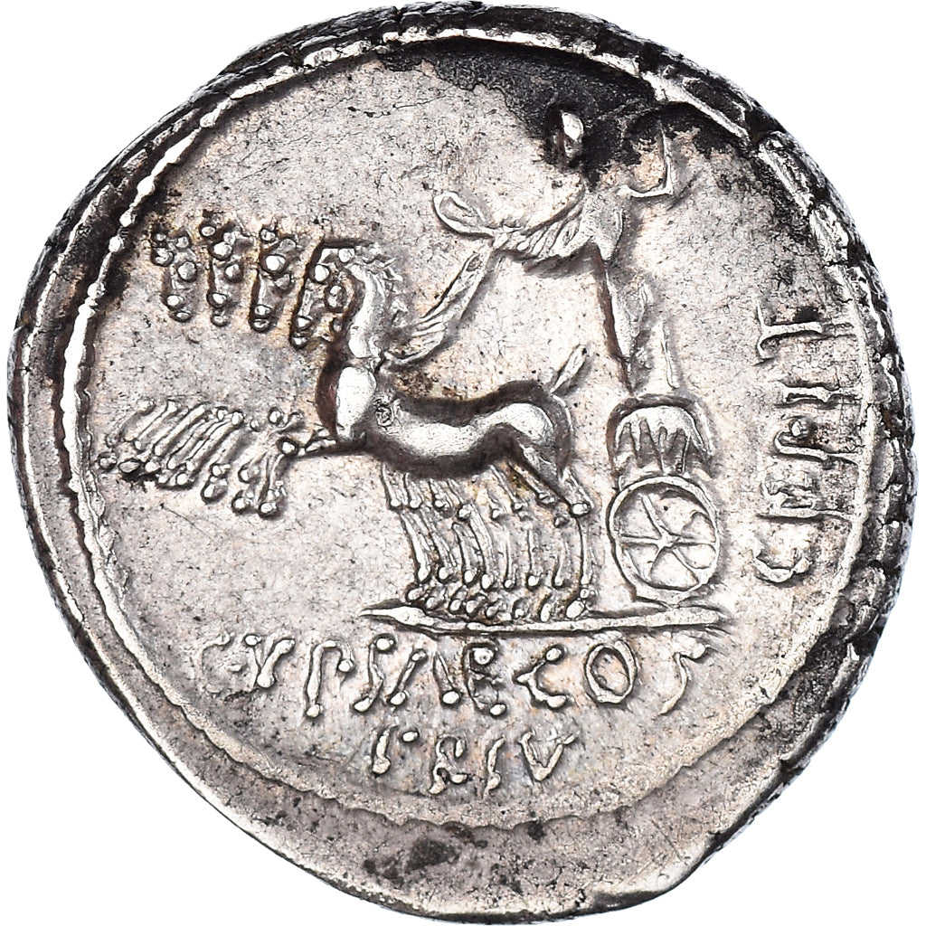 madeni para, 
  
  Plautia, 
  
  Denarius