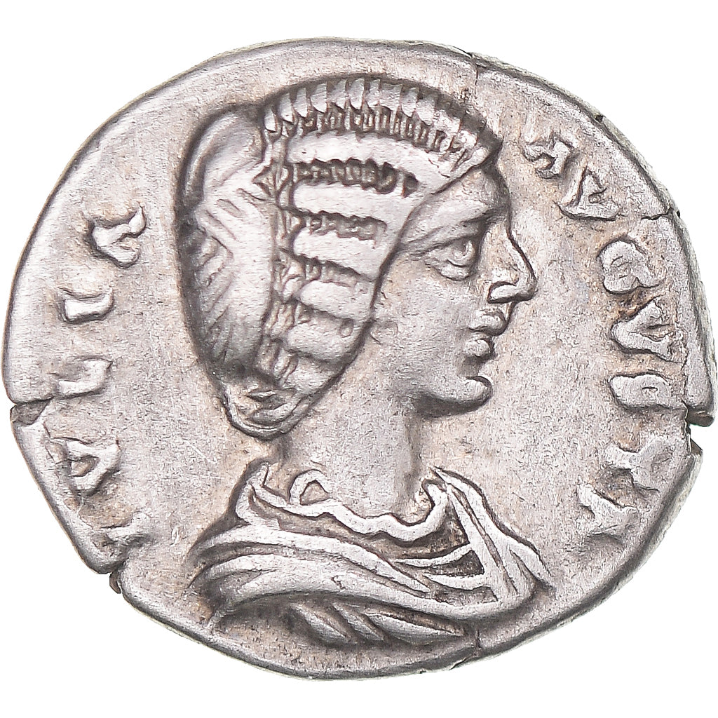 Julia Domna, 
  
  Denarius, 
  
  196-211