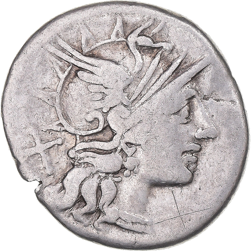 madeni para, 
  
  Saufeia, 
  
  Denarius