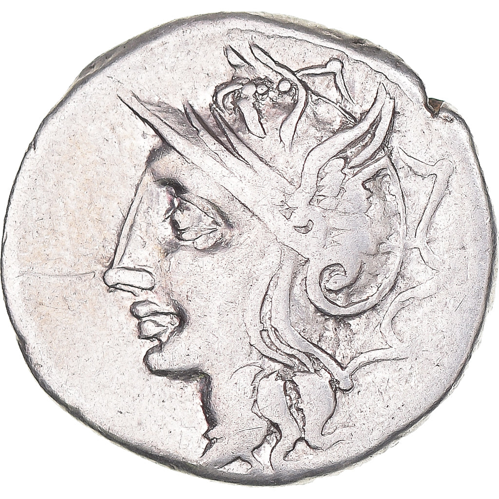 madeni para, 
  
  Appuleia, 
  
  Denarius