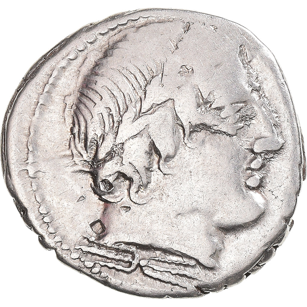 madeni para, 
  
  Gargonya, 
  
  Denarius