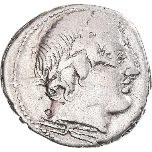 madeni para, 
  
  Gargonya, 
  
  Denarius