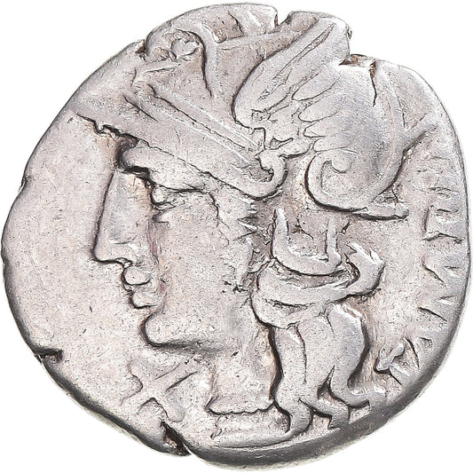 madeni para, 
  
  Baebia, 
  
  Denarius