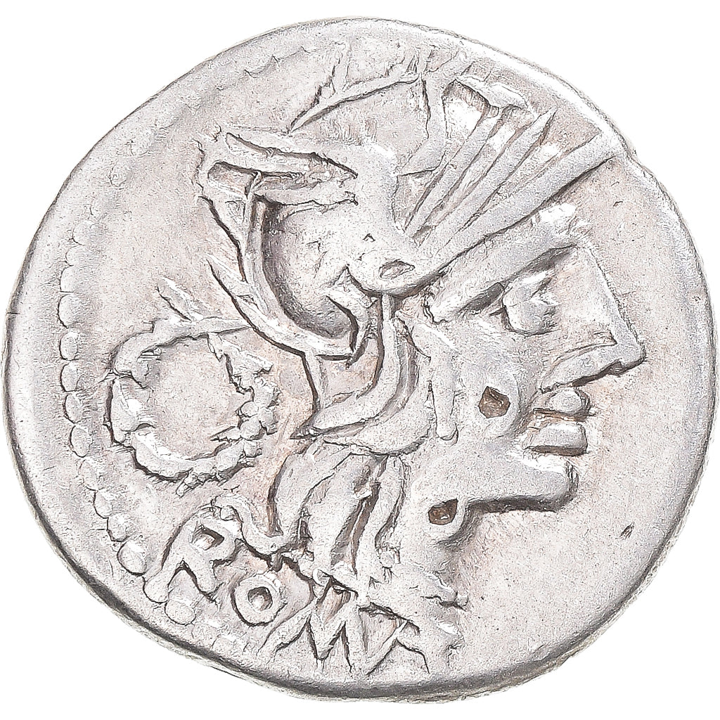 madeni para, 
  
  Cloulia, 
  
  Denarius