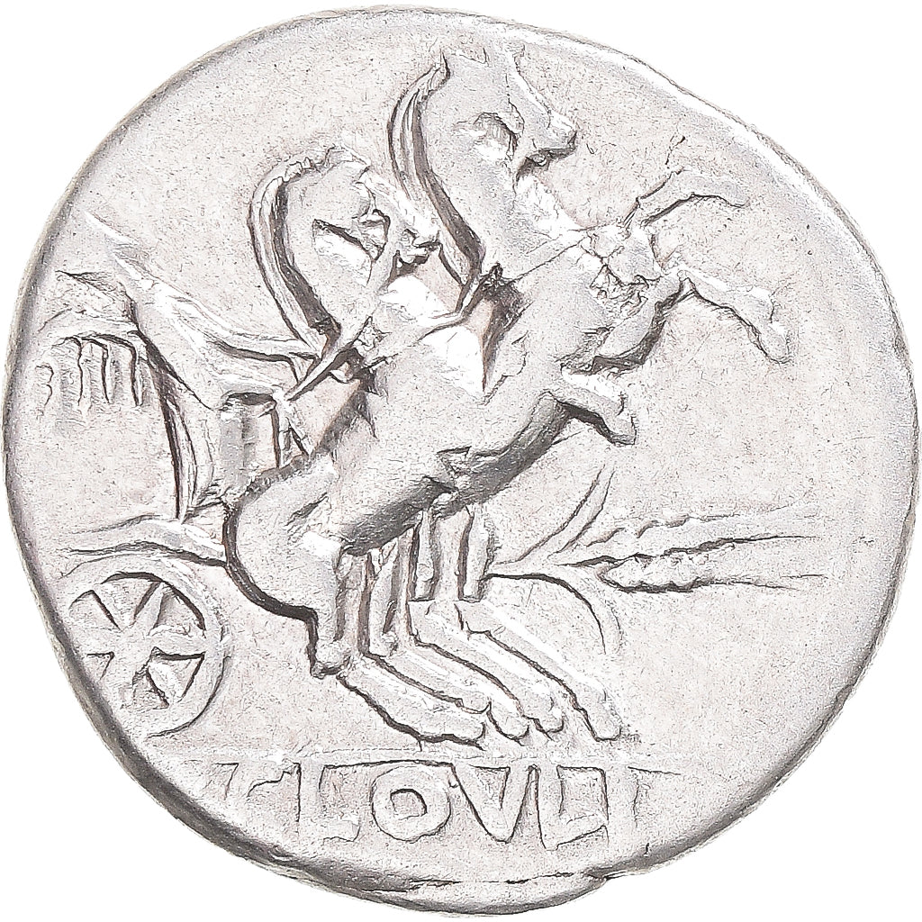 madeni para, 
  
  Cloulia, 
  
  Denarius