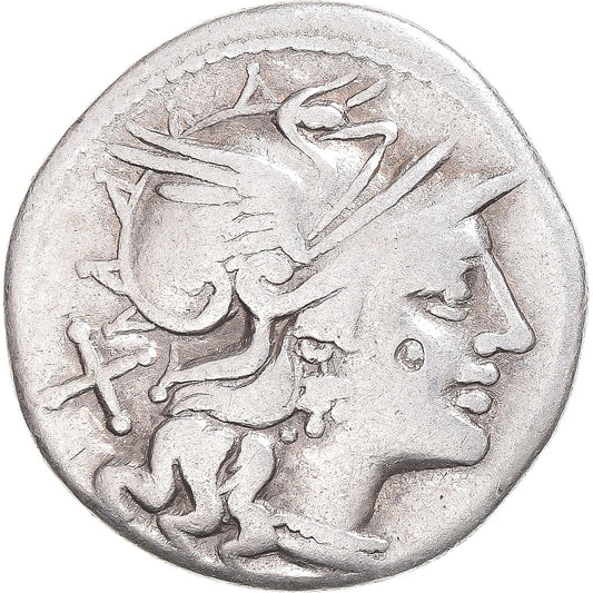 madeni para, 
  
  Safra, 
  
  Denarius