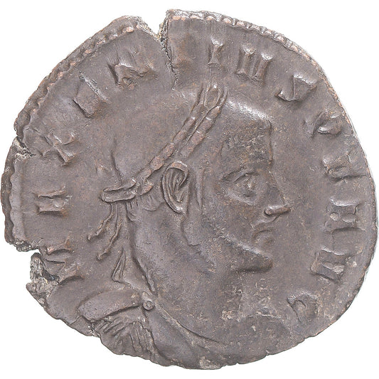 madeni para, 
  
  Maxentius, 
  
  Bronz Æ