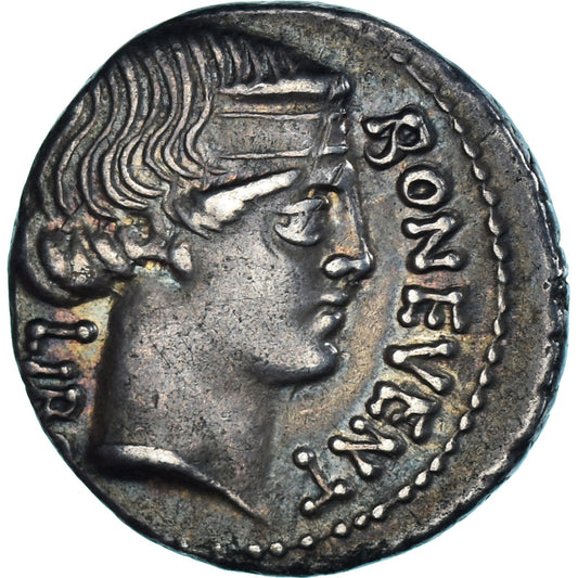 Scribonia, 
  
  Denarius, 
  
  MÖ 62