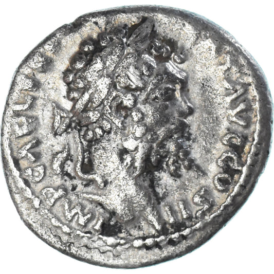 Septimius Severus, 
  
  Denarius, 
  
  194-195