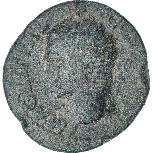 Agrippa, 
  
  Gibi, 
  
  37-41