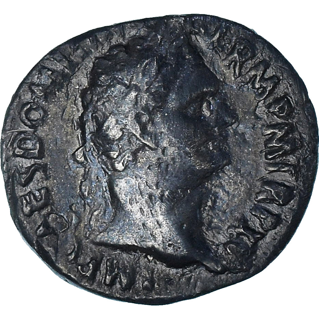 Domitianus, 
  
  Denarius, 
  
  95-96