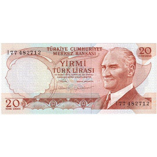 Hindi, 
  
  20 lira, 
  
  ÇİL(65-70)