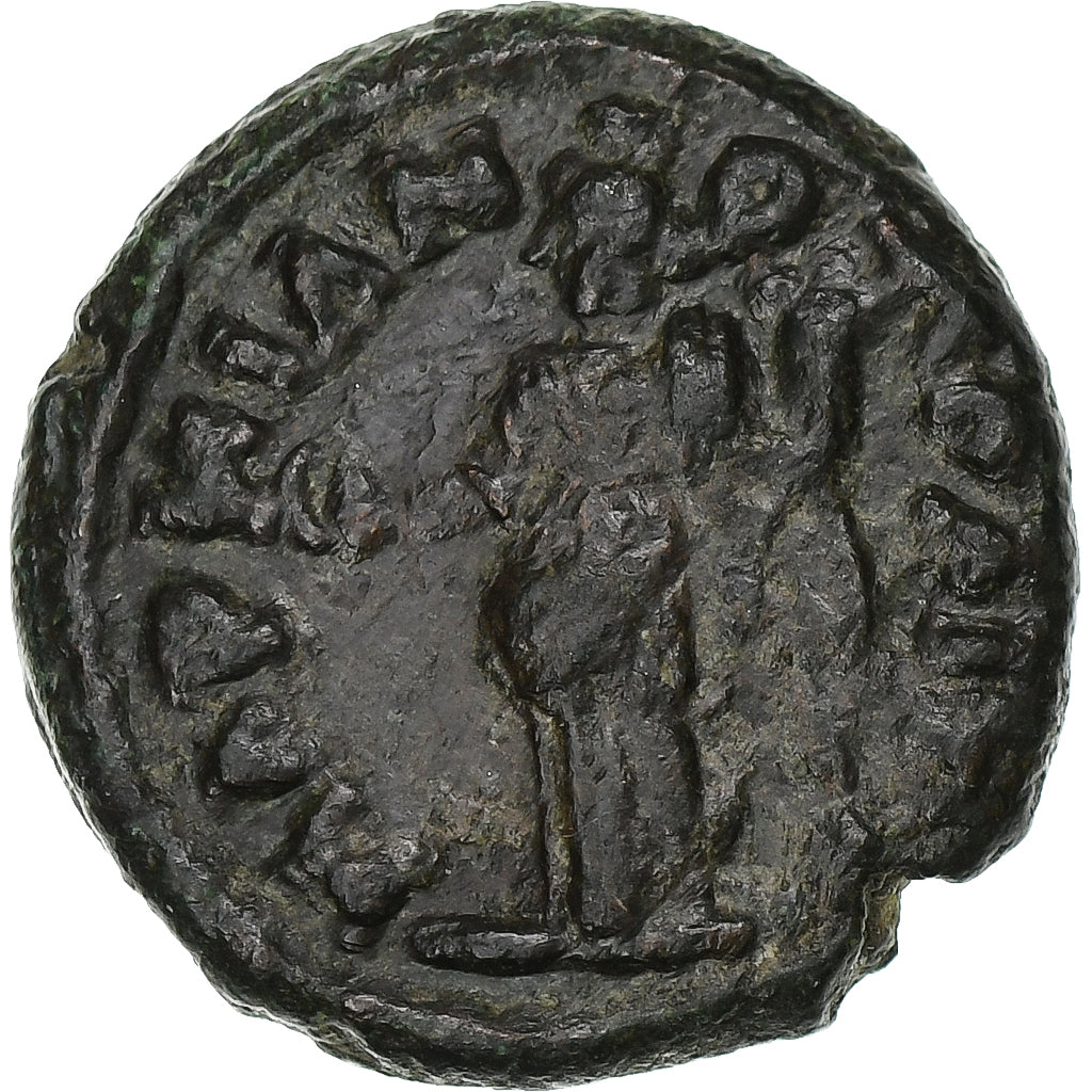 Moesia Aşağı, 
  
  Septimius Severus, 
  
  Æ