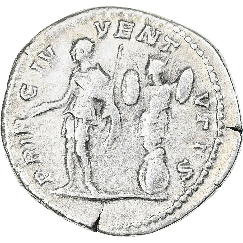 Geta, 
  
  Denarius, 
  
  200-202