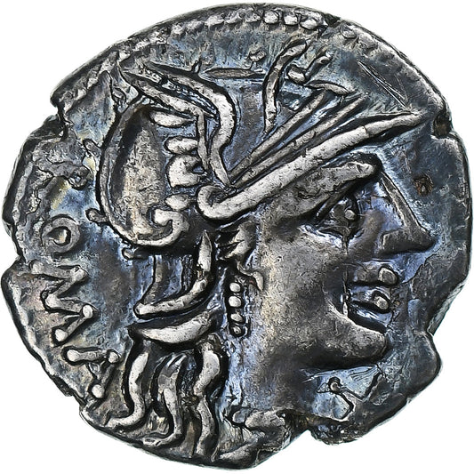 Minucia, 
  
  Denarius, 
  
  MÖ 135