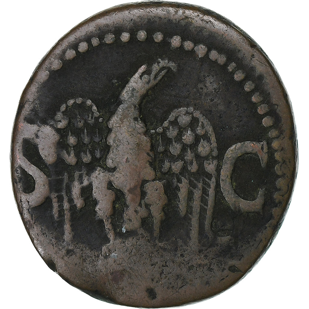 Divus Augustus, 
  
  Gibi, 
  
  34-37