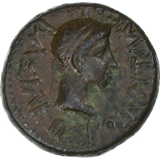 Rhoemetalkes I ve Augustus, 
  
  Bronz Æ, 
  
  MÖ 27-MS 14