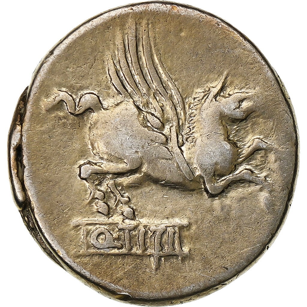 Titia, 
  
  Denarius, 
  
  MÖ 90