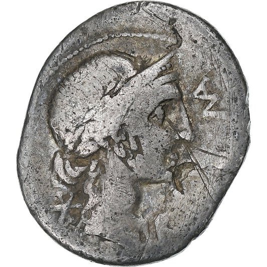 Aemilia, 
  
  Denarius, 
  
  MÖ 114-113