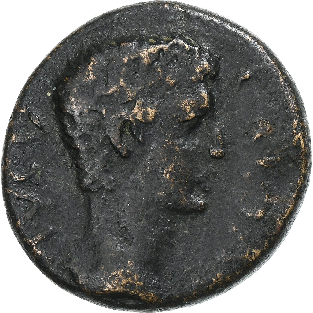 Korint, 
  
  Caligula, 
  
  Æ Birim