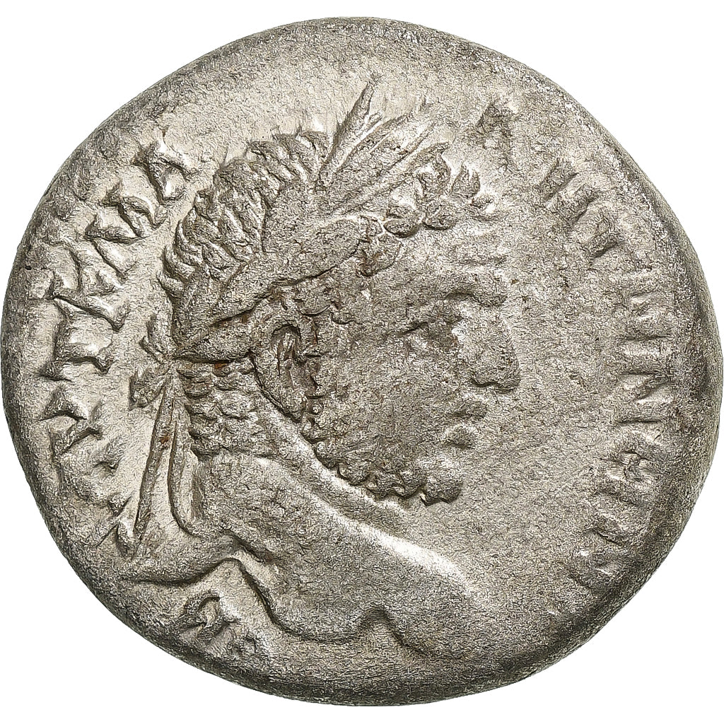 Seleukis ve Pieria, 
  
  Caracalla, 
  
  Tetradrahmi