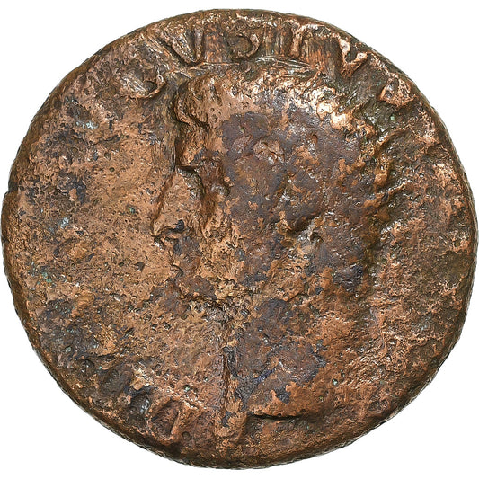 Divus Augustus, 
  
  Gibi, 
  
  22-30