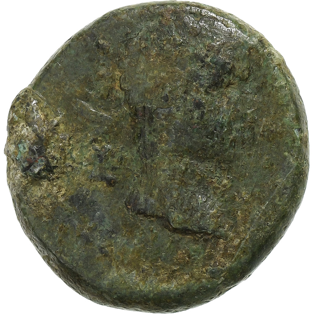 Troas, 
  
  Augustus, 
  
  Æ Birim