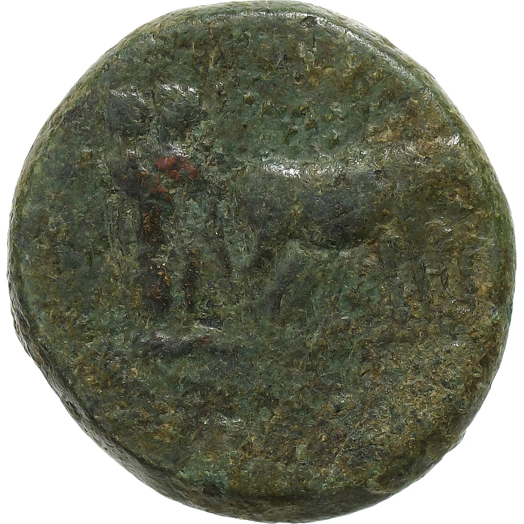 Troas, 
  
  Augustus, 
  
  Æ Birim