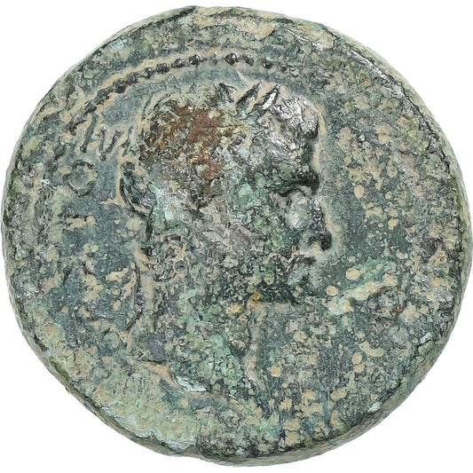 İyonya, 
  
  Augustus, 
  
  Æ Birim