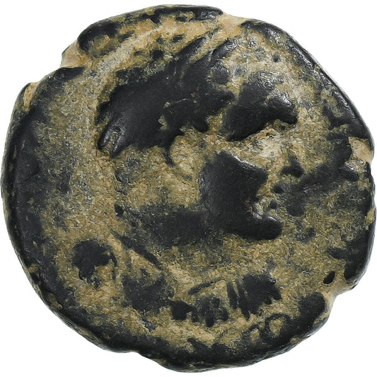 Lycaonia, 
  
  Titus, 
  
  Æ Birim