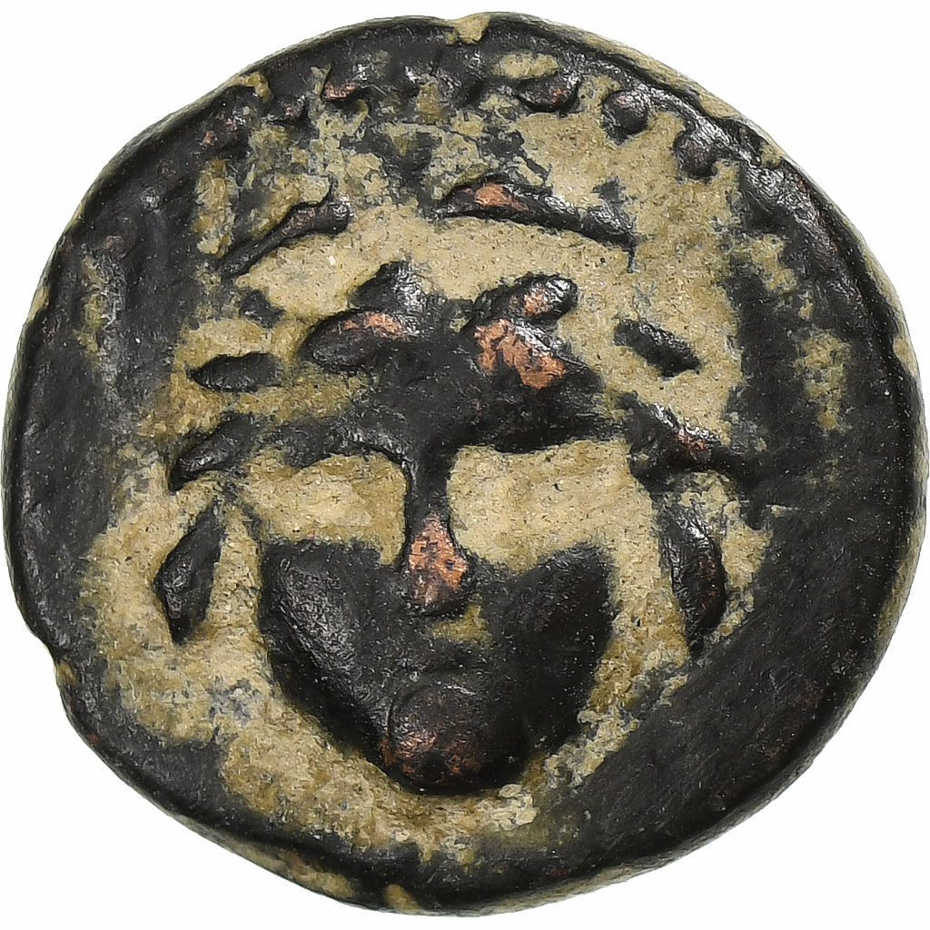 Lycaonia, 
  
  Vespasianus, 
  
  Æ Birim