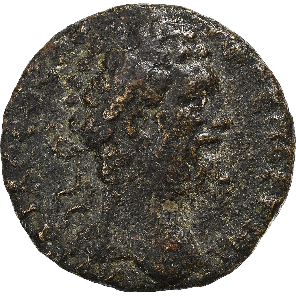 Kilikya, 
  
  Septimius Severus, 
  
  Æ Birim