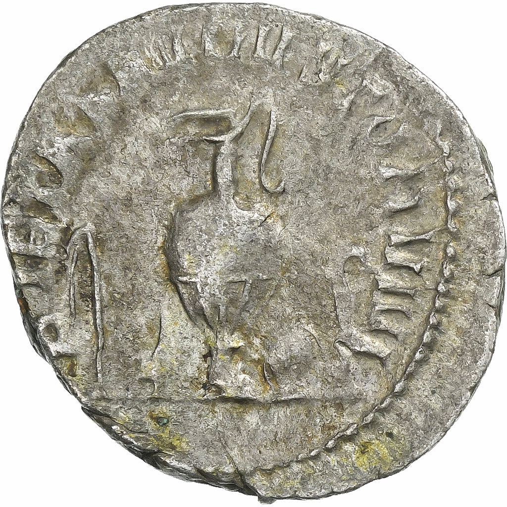 Herennius Etruscus, 
  
  Antoninianus, 
  
  250-251