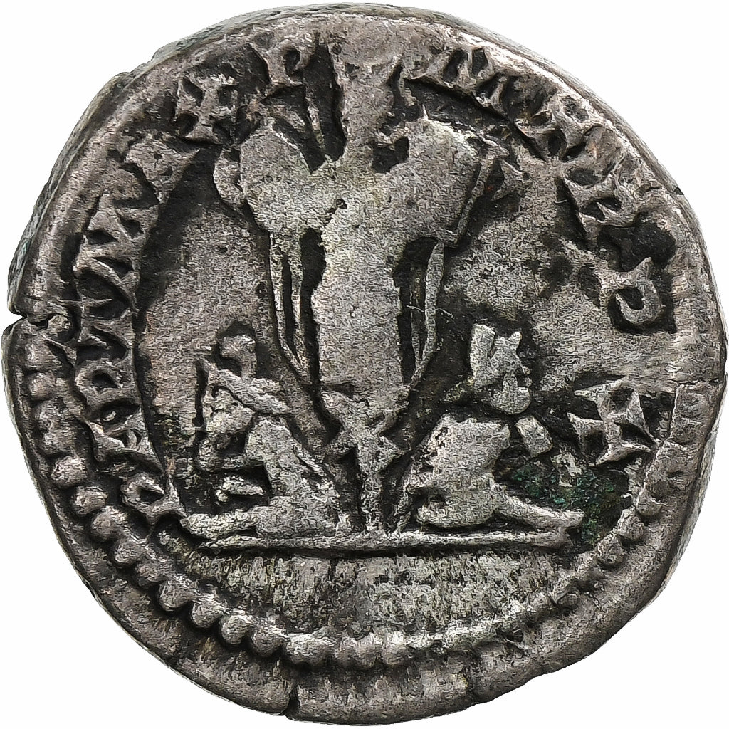 Septimius Severus, 
  
  Denarius, 
  
  202