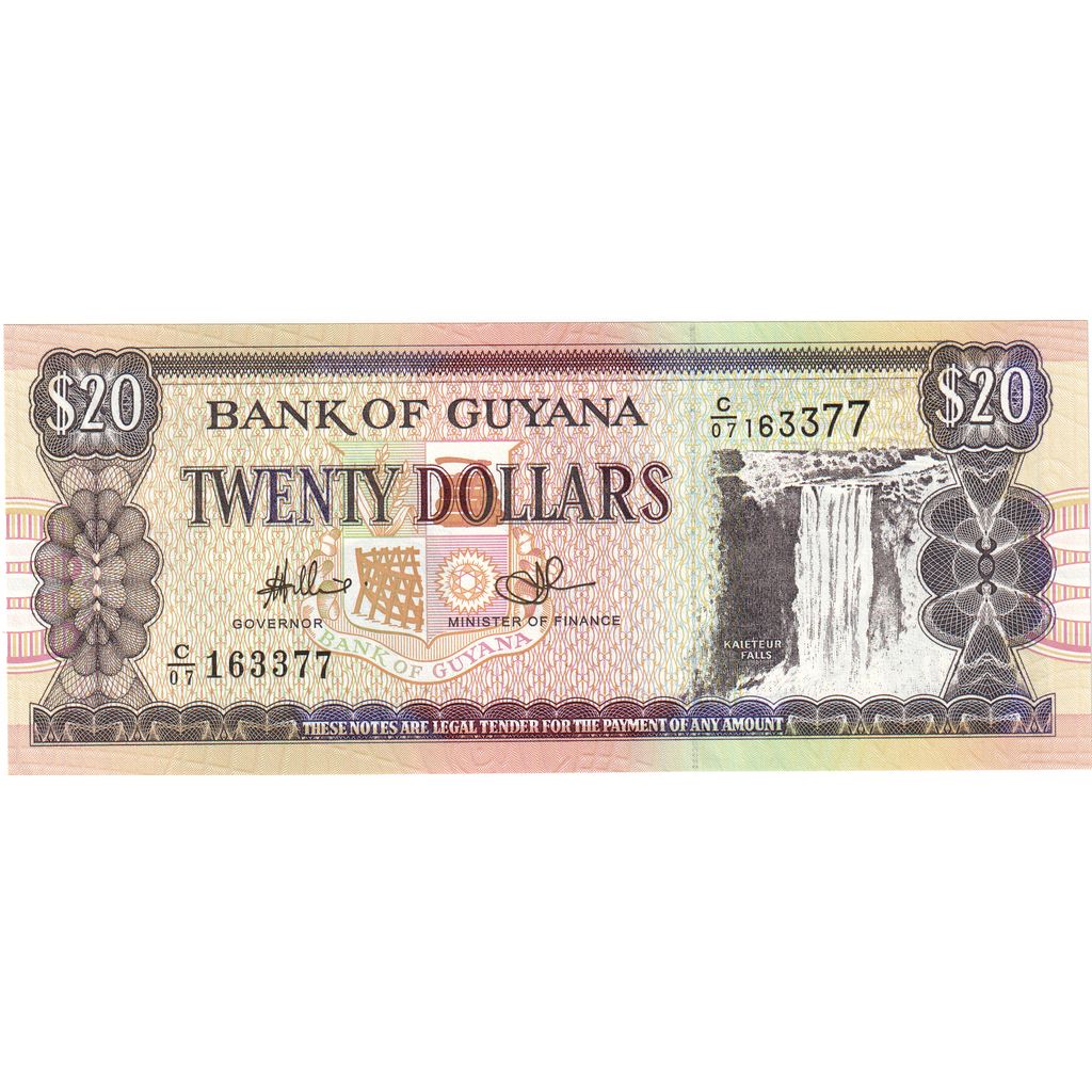 Guyana, 
  
  20 Dolar, 
  
  Tarihsiz (1996)