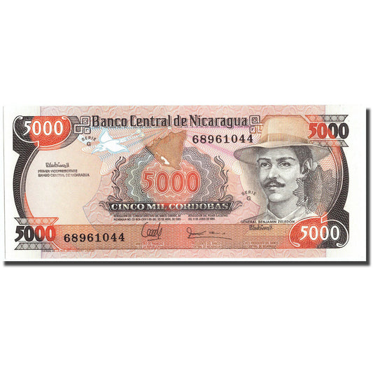 Banknot, 
  
  Nikaragua, 
  
  5000 Kurtuba