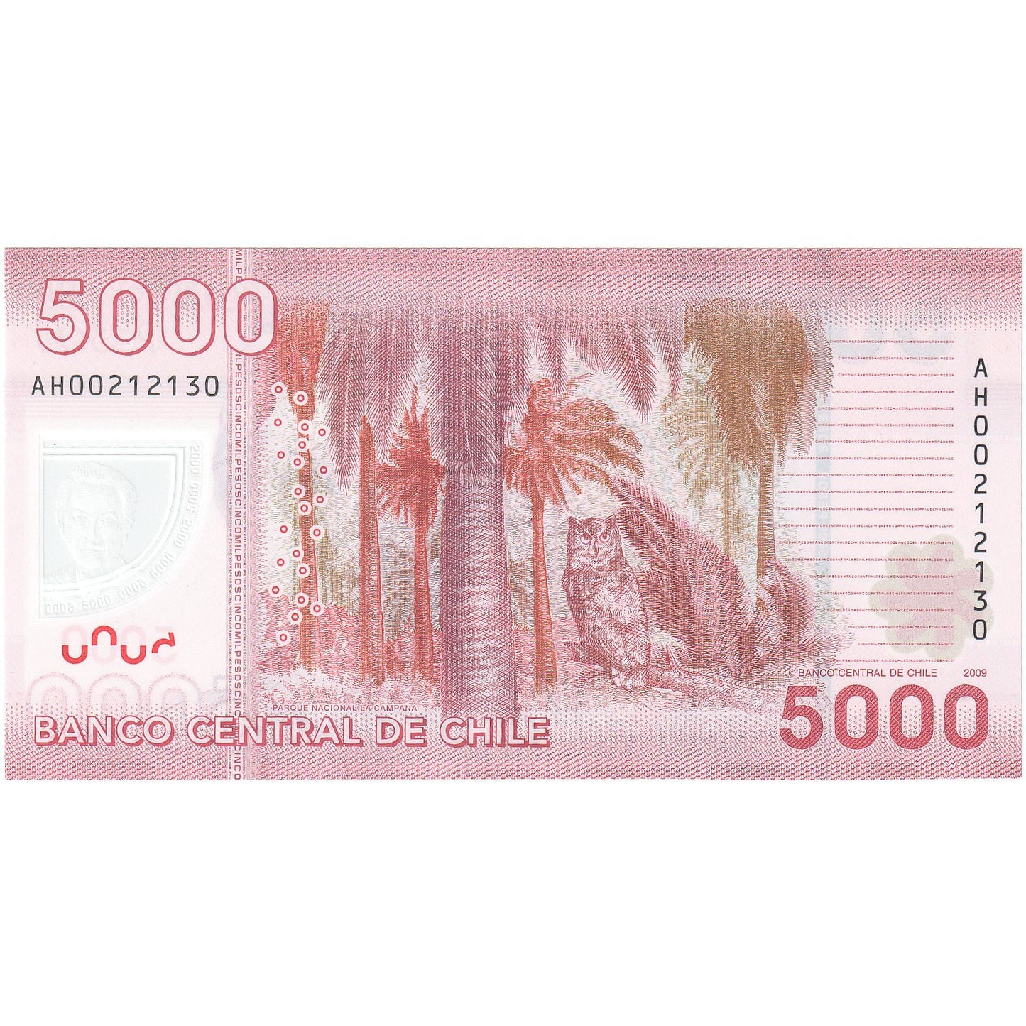 Şili, 
  
  5000 Peso, 
  
  2009