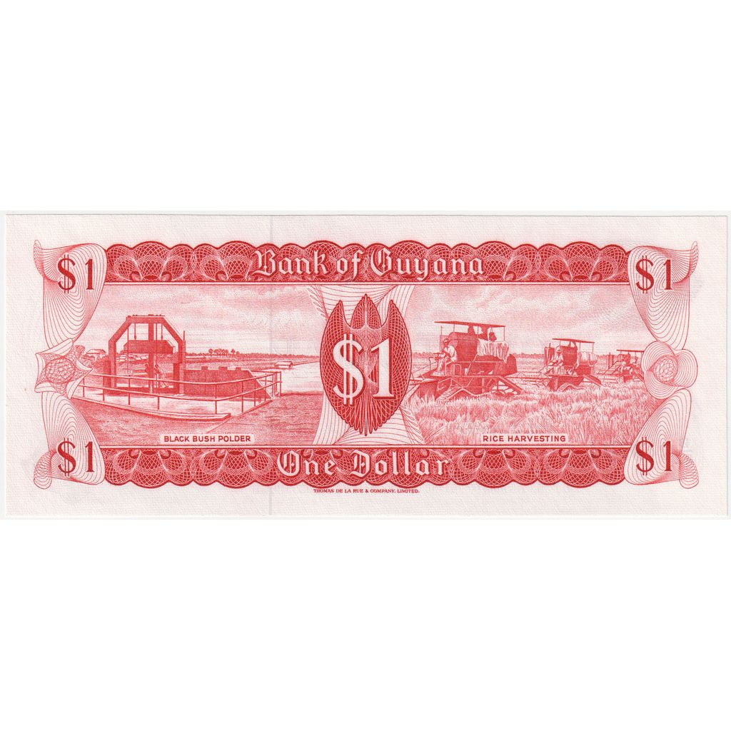 Guyana, 
  
  1 Dolar, 
  
  Tarihsiz (1992)