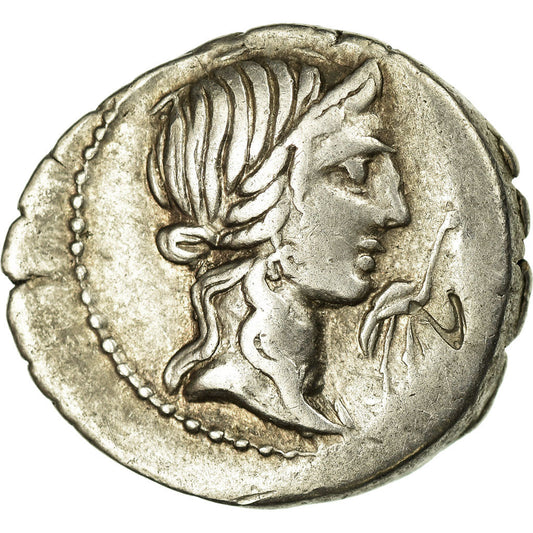 Caecilia, 
  
  Denarius, 
  
  MÖ 81