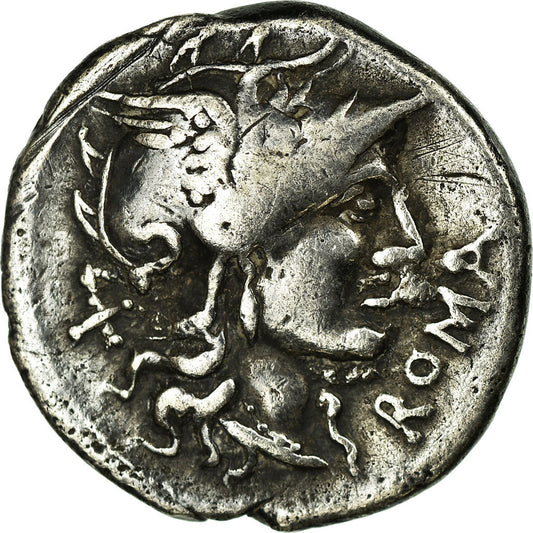 madeni para, 
  
  Denarius, 
  
  Roman