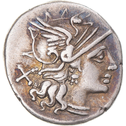 madeni para, 
  
  Afrika, 
  
  Denarius