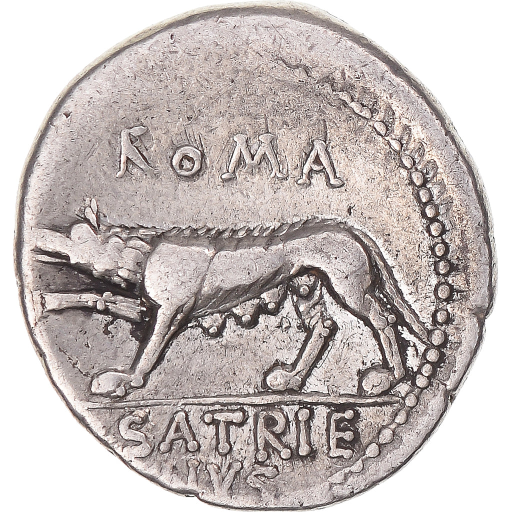 madeni para, 
  
  Satriena, 
  
  Denarius