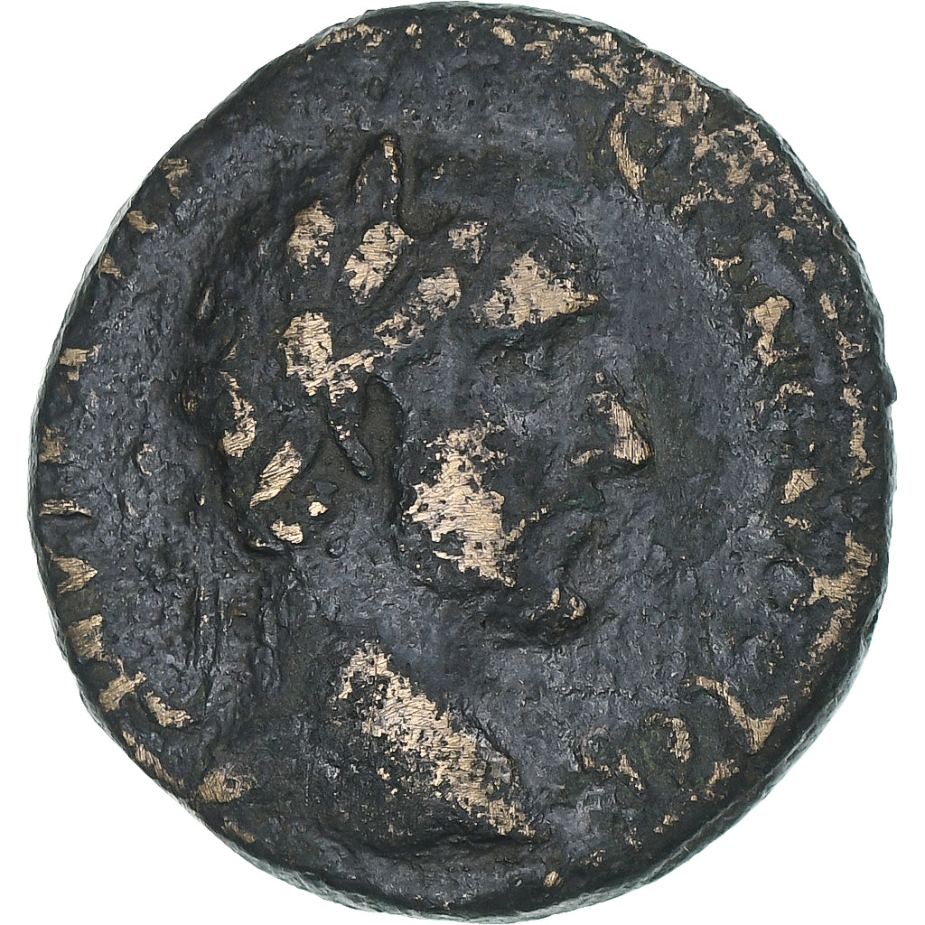 Fenike, 
  
  Antoninus Pius, 
  
  Æ