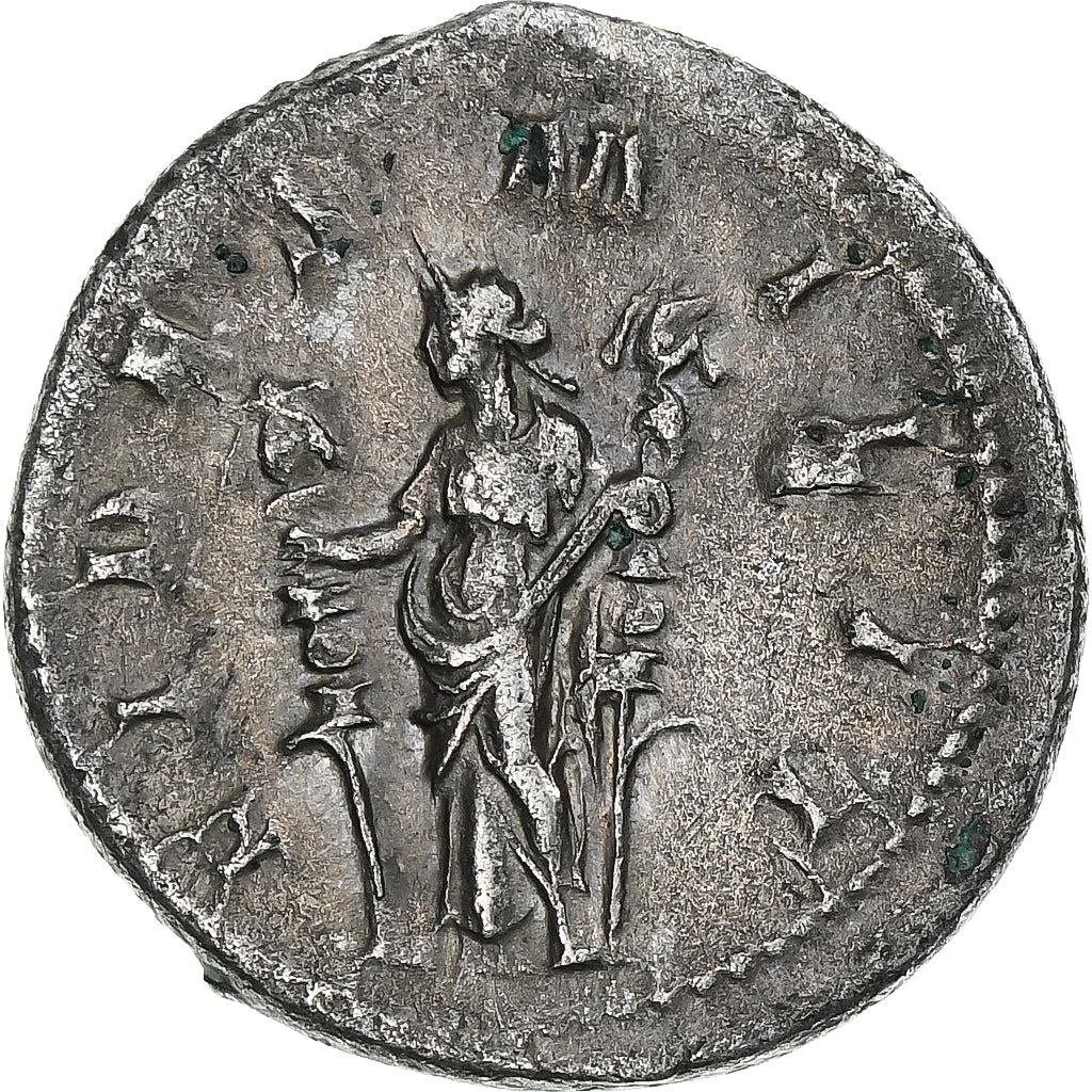 Philip I, 
  
  Antoninianus, 
  
  244