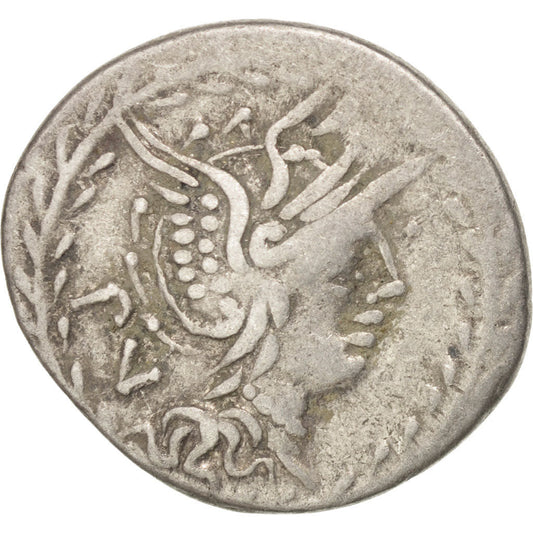 madeni para, 
  
  Lucilia, 
  
  Denarius