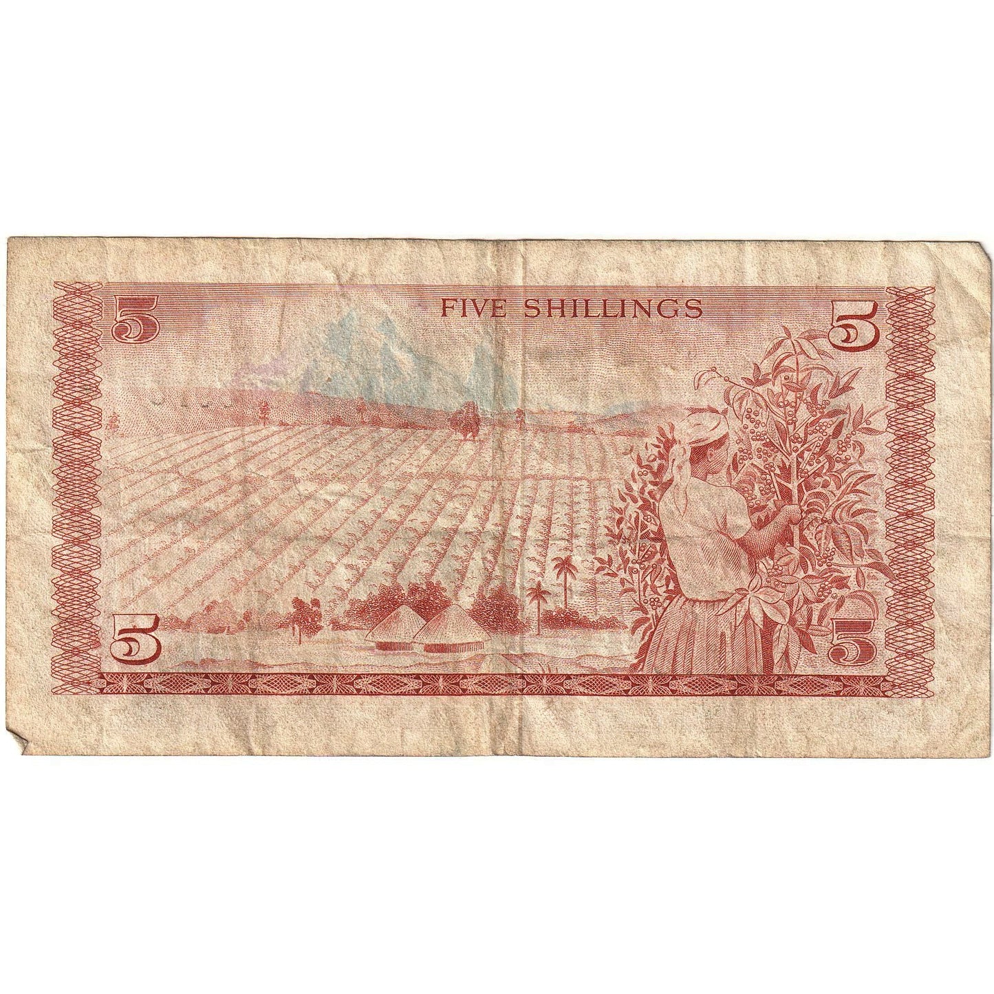 Kenya, 
  
  5 Şilin, 
  
  1978