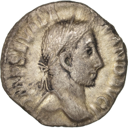 madeni para, 
  
  Severus Alexander, 
  
  Denarius