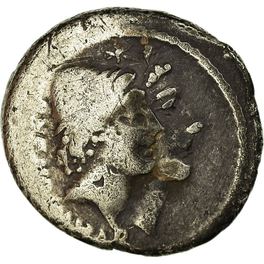 madeni para, 
  
  Cordia, 
  
  Denarius